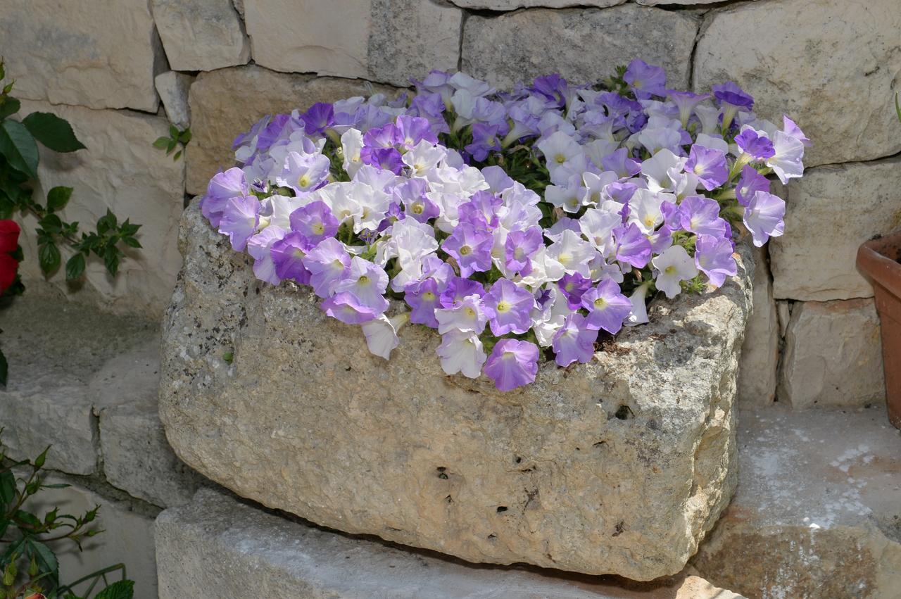 Astra Bed and Breakfast Alberobello Exteriör bild