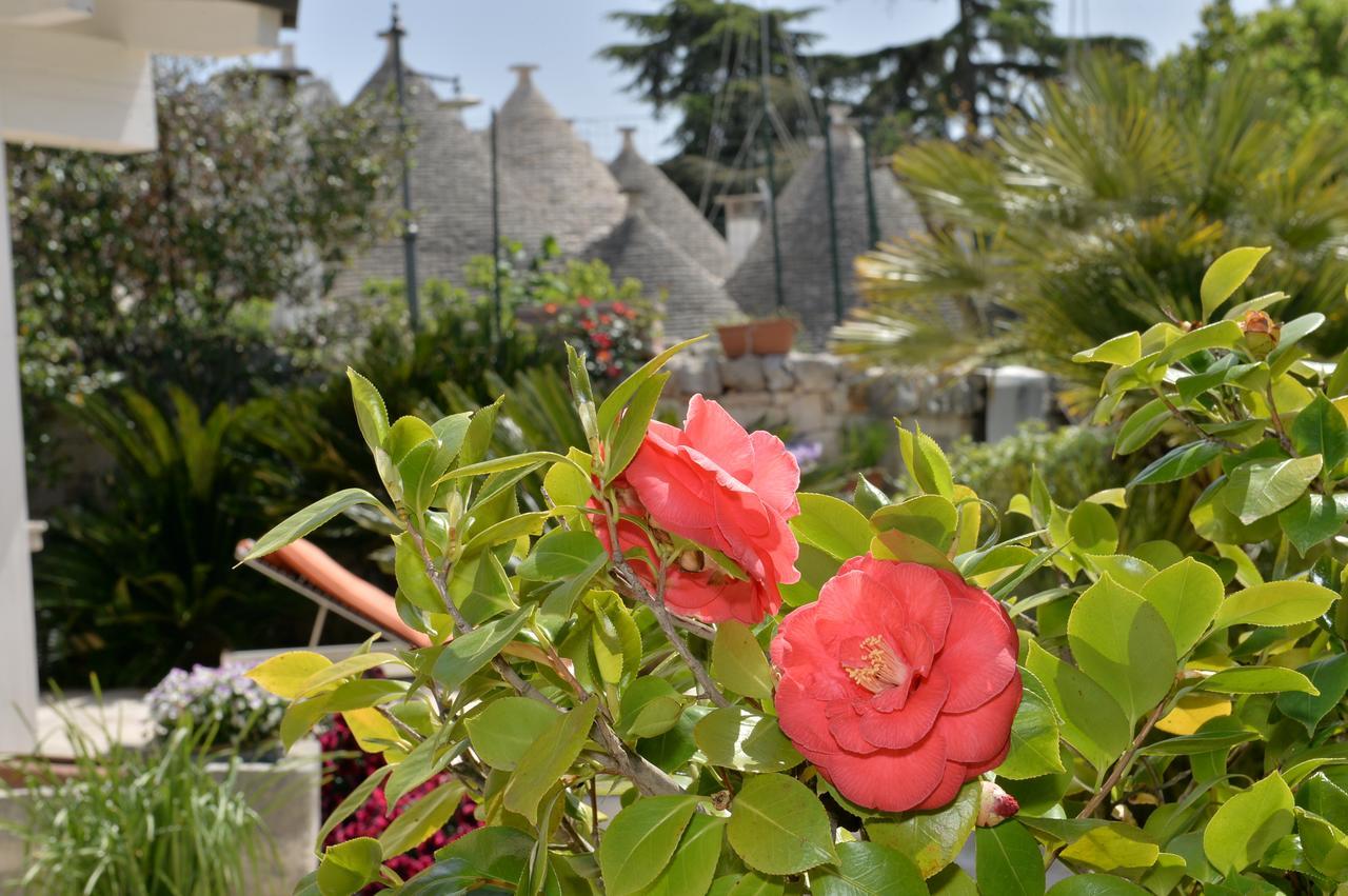 Astra Bed and Breakfast Alberobello Exteriör bild